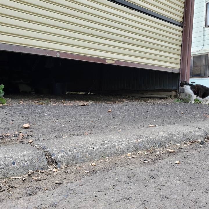 89247deb 0e50 4ada a003 5a64e3320872 1696416737221