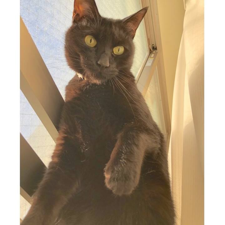 892482e5 8392 4c5d 9f81 727f53ded708 1514933773682