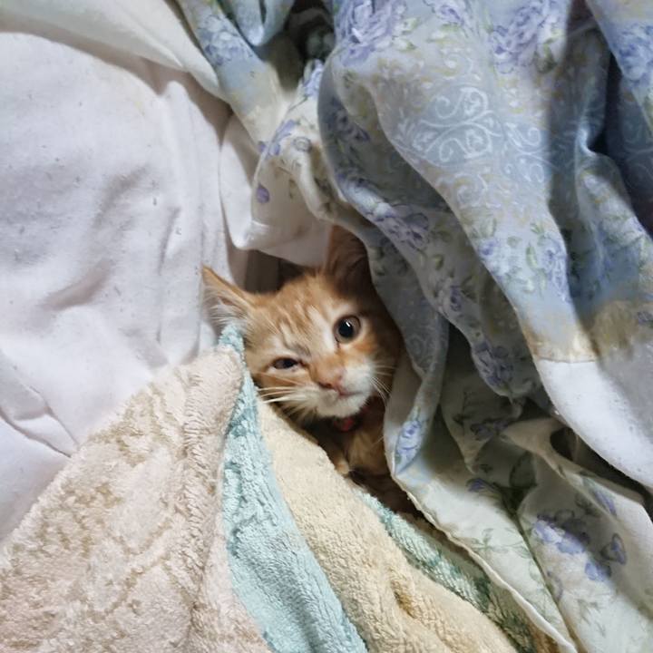 8924cc9a de00 466d bef9 1e6b10ad71fc 1628717581947