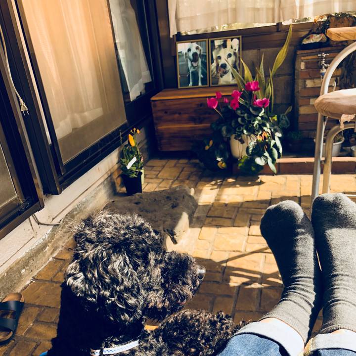 8924cd79 464b 4006 9647 cdea32081924 1522454805694