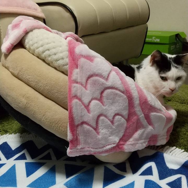 8924cec3 5d42 434d aeca bbfc3c57a4b9 1609148728982