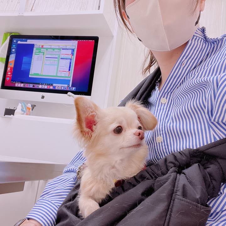 8924f078 1598 4dc8 97a9 1be5e4a4240d 1681465736214