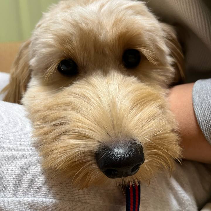 8924fb6f 7892 4964 b79d 6df252911df8 1691325210493