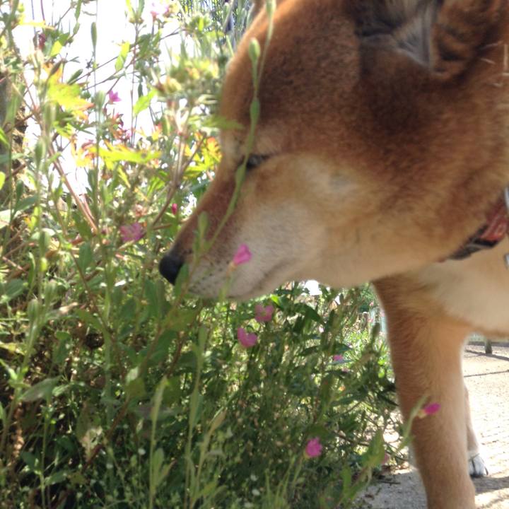 89250da4 f100 4ec5 acaa 4ad0cae152e5 1525484423404