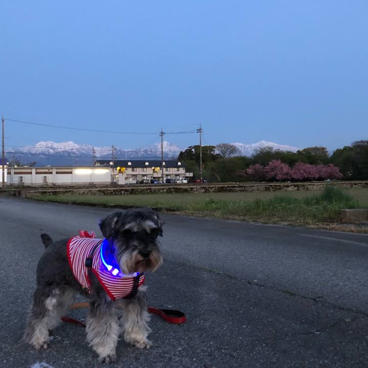 89251684 1423 4e6a ac78 10afc69c0f94 1619016734381