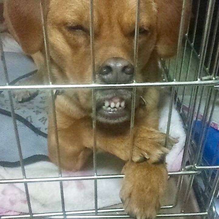 892529fa 900d 4ffc 83fd 872c15aa3e54 1558521344967