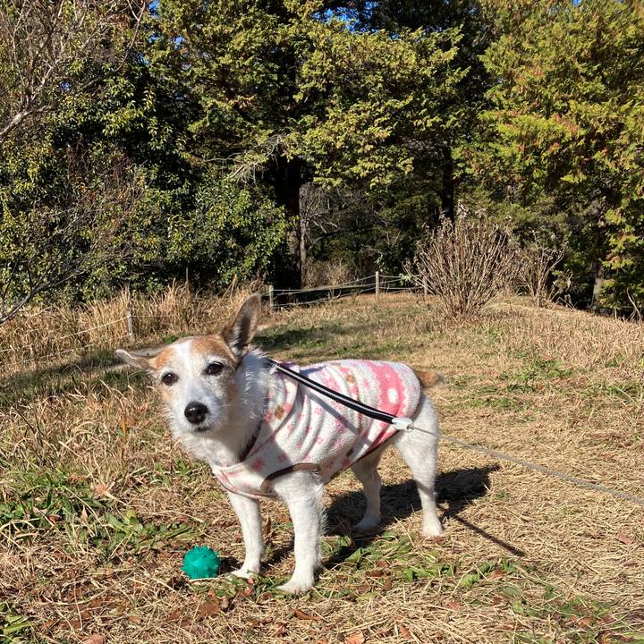 8925612b 105f 4458 99bc 9929b0b648dc 1703814440282