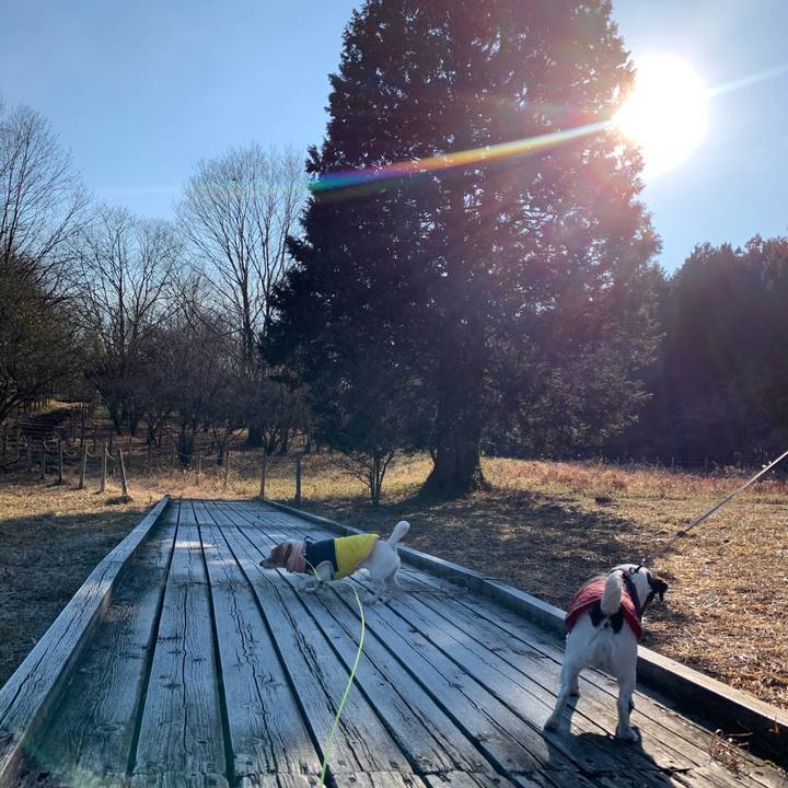 89256b05 3d69 4bfe a17d b49161285f32 1609046387007