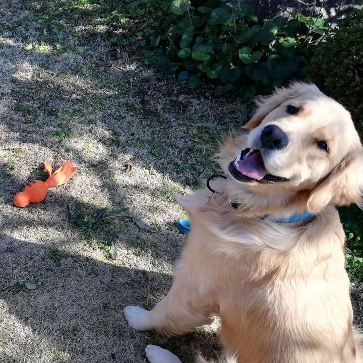 8925db8e d98f 44d4 af0b 3b1a9df2cf85 1578220910596