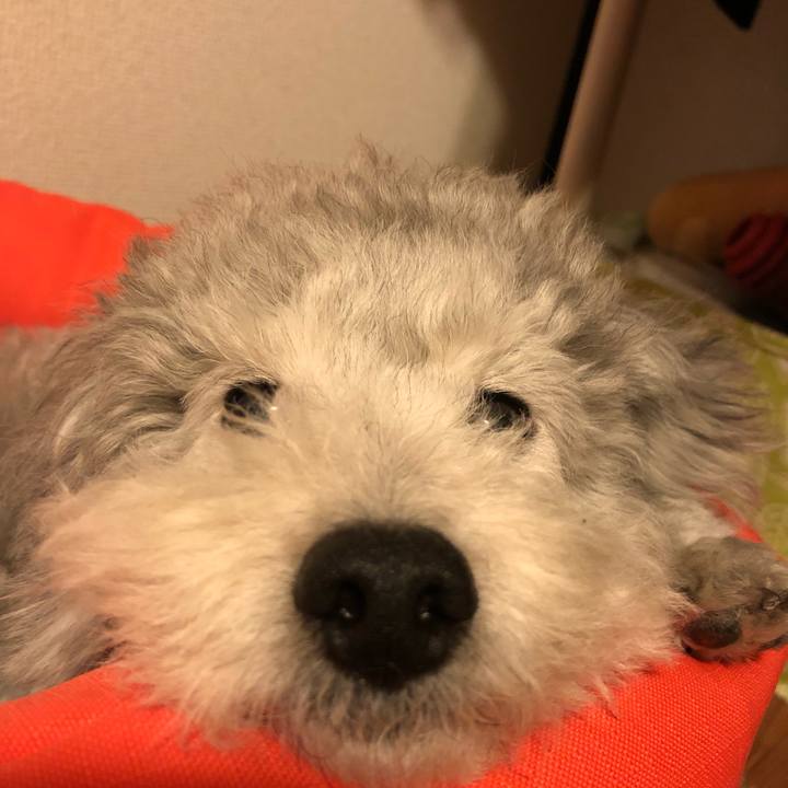 8925dcdd b19a 4fd6 9703 d6d2e9880531 1525650057609