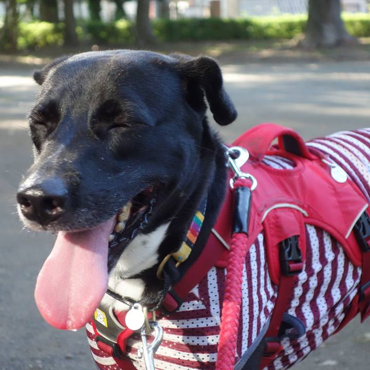 892612a5 787b 4b2d a9de 76257827f06f 1597190810779