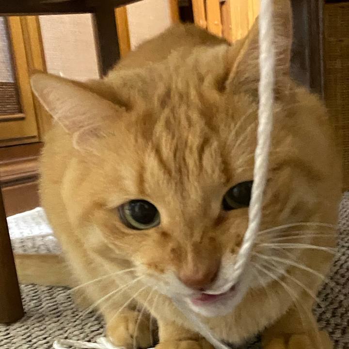 89262985 c648 4adb a24e 85b74cf76667 1604747292912