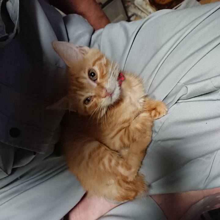 89264b0d 383b 459f af5f aeff7b26e307 1628934055650