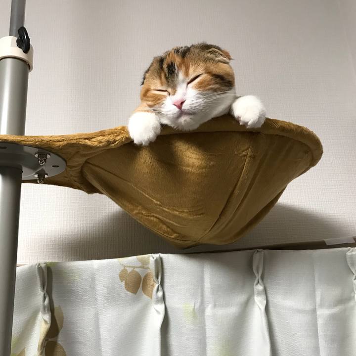 892652ea 7d38 4e57 8ff7 9a64e0e88bd1 1511180548382