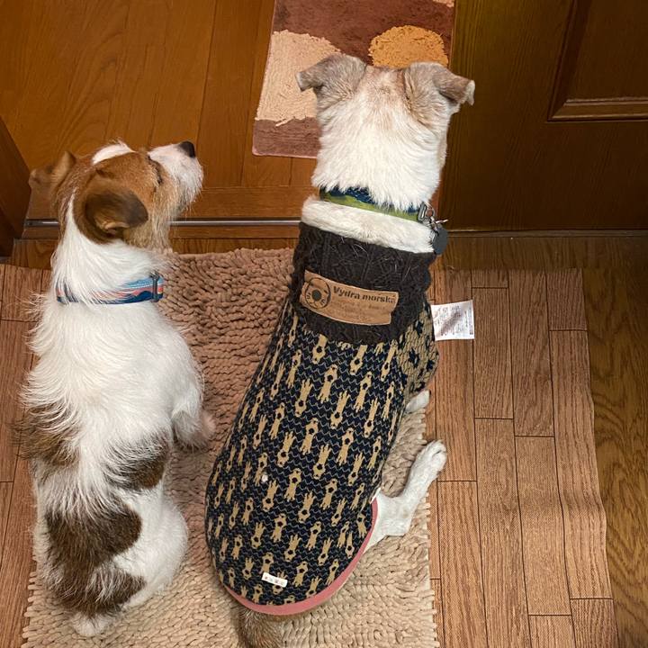 89268cf4 cffe 465d b592 05448ce3952b 1702037603158