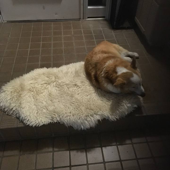 89273c1b ff1d 430a aa0c 6081f46cbfb1 1557499561327