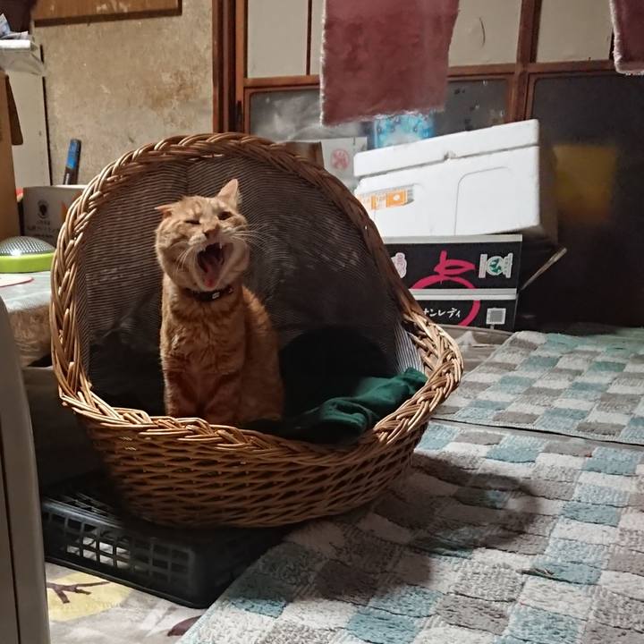 89275438 b339 4cc9 9bfb 05914ad0121e 1643448413911