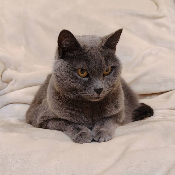 89275903 6c3d 4635 9c3d 3a4de5e0ef50 1768476757251