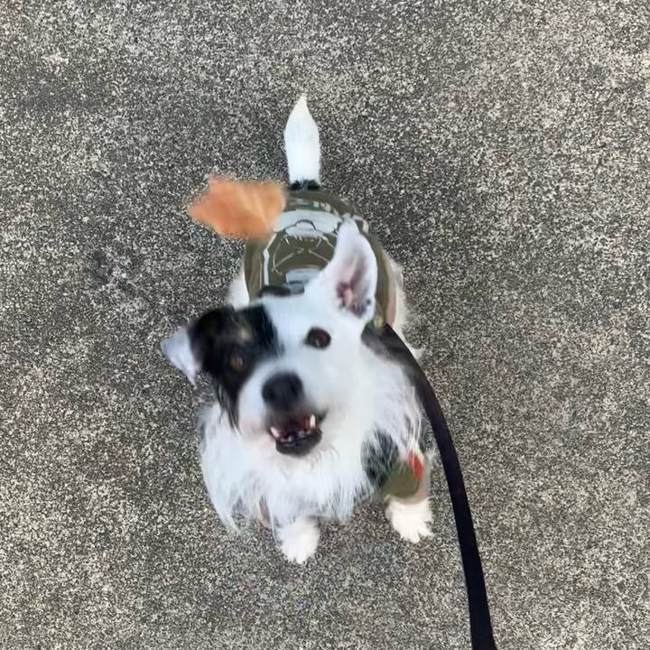 89275cba c2db 414f a179 4734a345d1f5 1702257475840