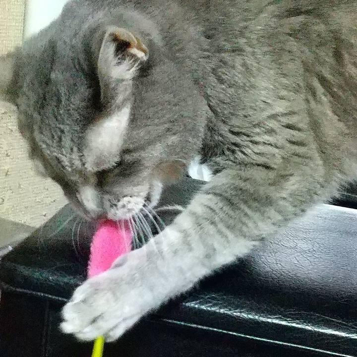 8927b40c 33ca 473b bdbc 8e82768176ce 1697797817154