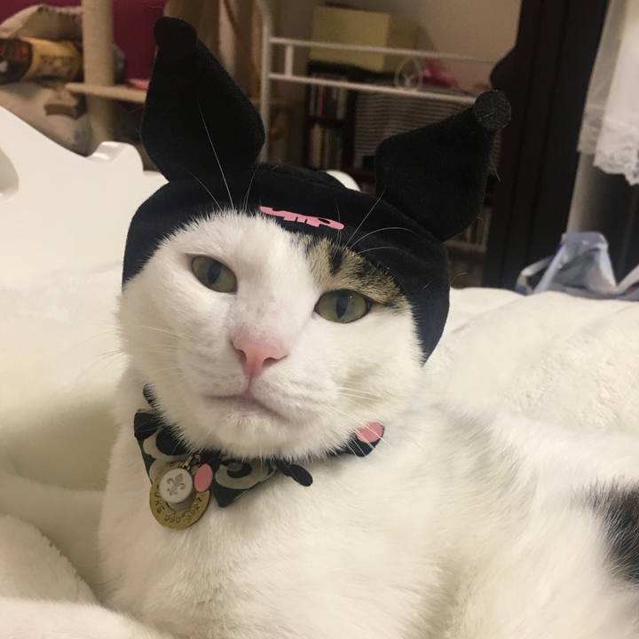 8927c461 c211 4004 9bd3 ec4ca033c427 1509030439480