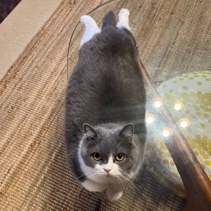 8927c522 5692 4761 a3dd 9f87dce64faf 1658318985559