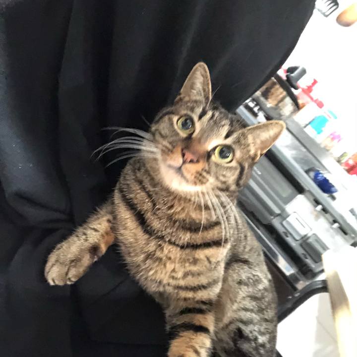 8927cbb8 fbbf 45f2 a941 d8810a58a2e6 1582032163459