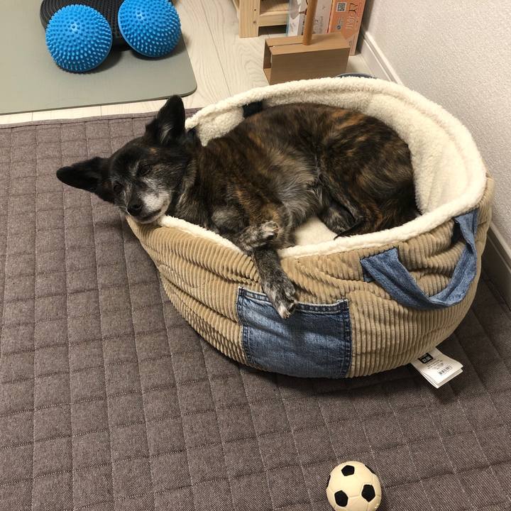 8927cdf2 4acd 4857 931e 02750f1ed9dc 1682221771101