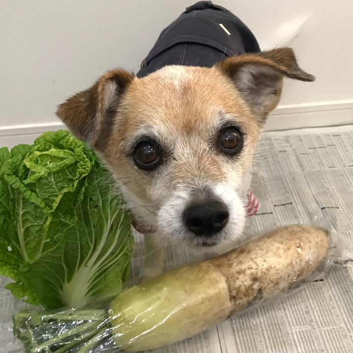 8927db62 40ed 4b30 80b8 f650e8f52941 1639382708537