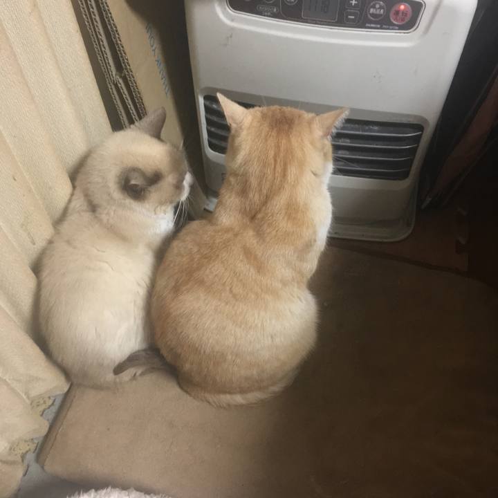 89280ed7 d614 460e 8ab2 7f380d66e797 1544922597783