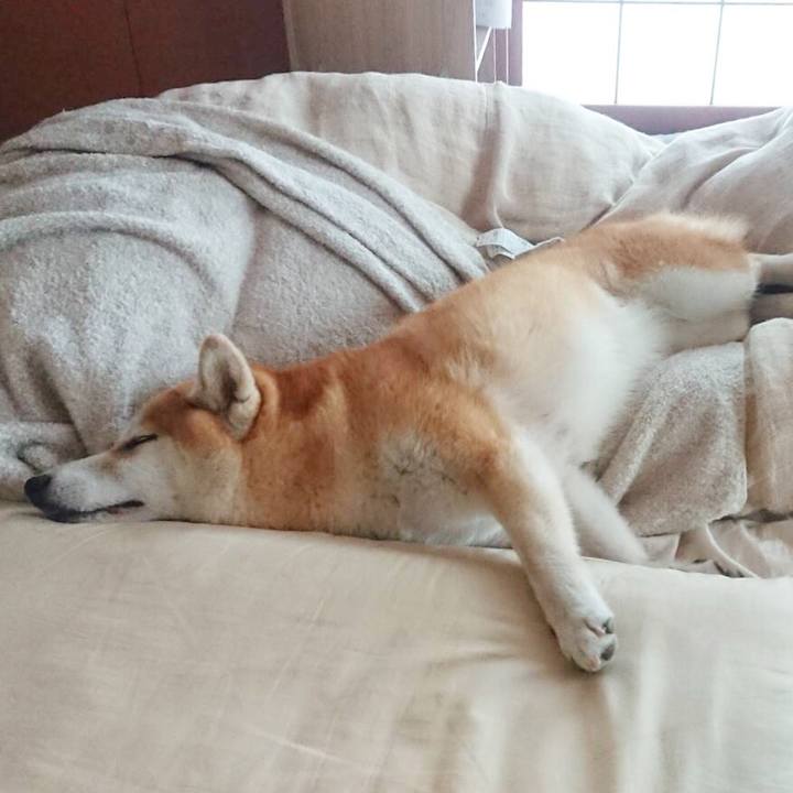 89284c70 3493 420c 8e2c 42f01c35c92b 1568445762591