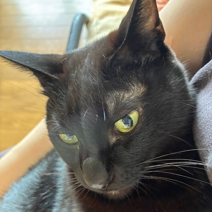 892864a8 29e9 43e6 acf0 c85c3603b87b 1751668827621