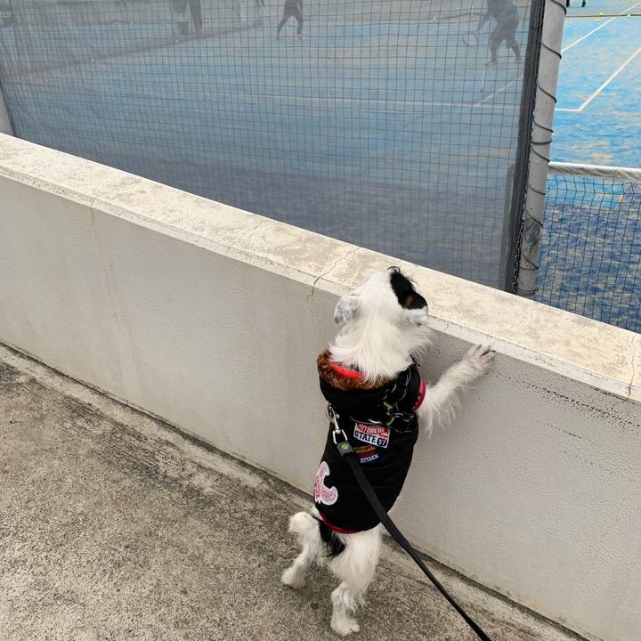 8928c31a c180 4ab0 83c4 5f7ad1b748ae 1547259272591