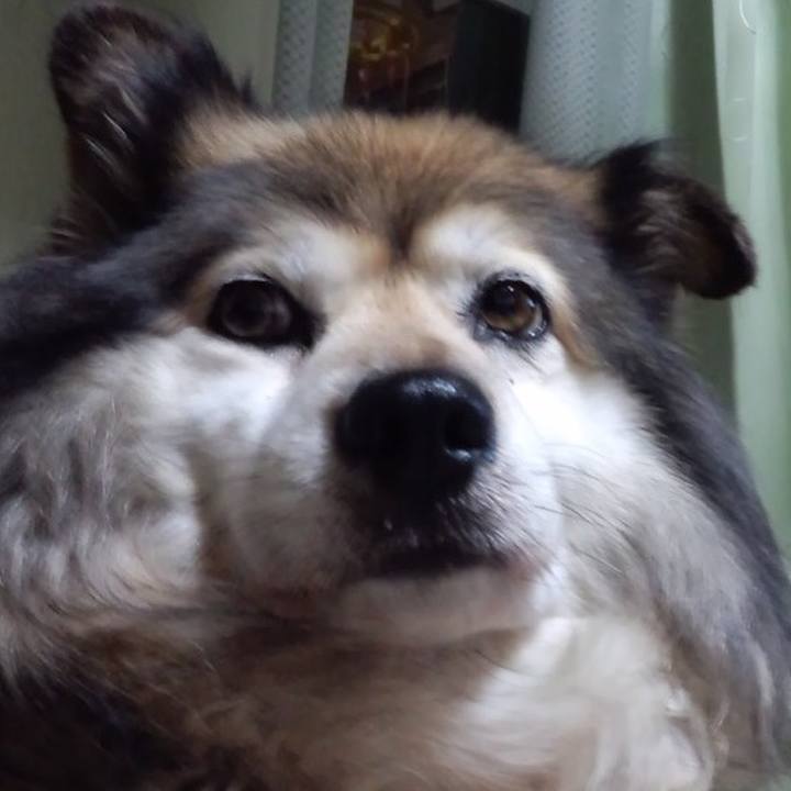 8928ed6e 50ca 4120 9a65 827d350ae204 1558866241342