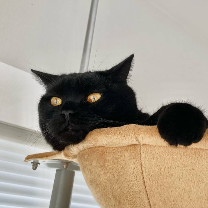 8928fdcb 4c0a 459c 96a6 1a9de063eb1e 1604276829793