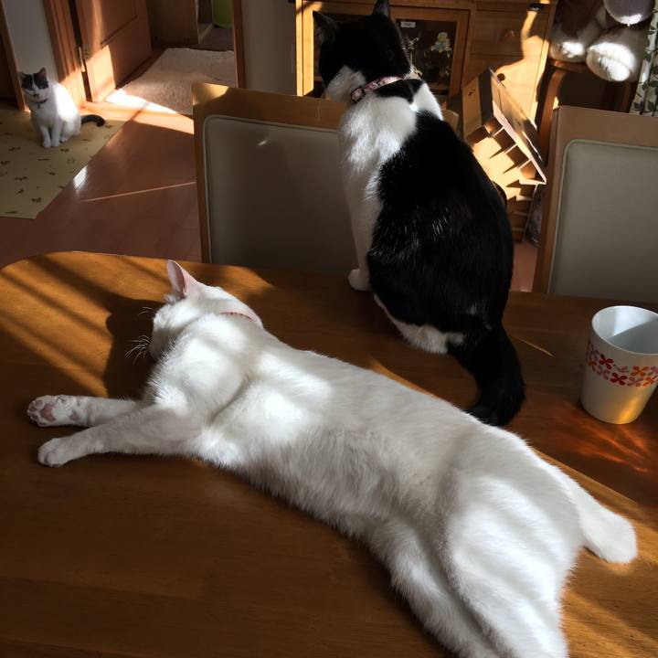 892902fb d044 43f2 a8e0 8c43cd626b0a 1512443679957