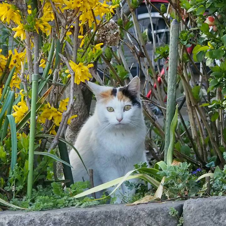 8929168d 9519 4205 b039 c1570049c949 1523187905888