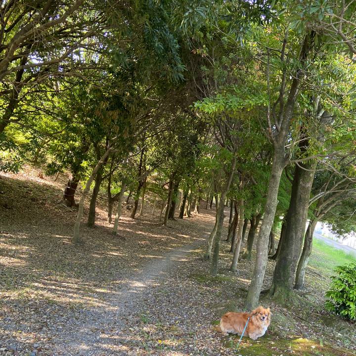 89291a8d c836 499f 92ce 843ab816f8cc 1651969793958