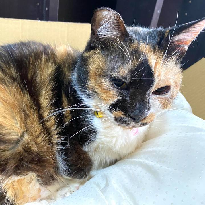 892942aa e53b 4718 bdae 2d3fa12f66cc 1710059758632