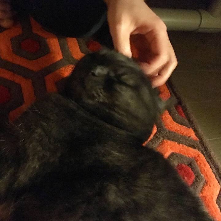 89296637 fcaf 4dee a281 4fa0cc459ec1 1543533115940