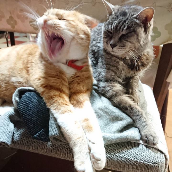 89297f8c 0d13 4fe4 a91e 4a7d51a92288 1575798946892