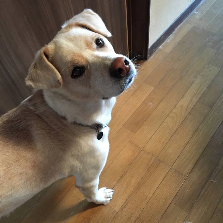 8929b98b febb 429c ba13 557e6317b689 1541634434696