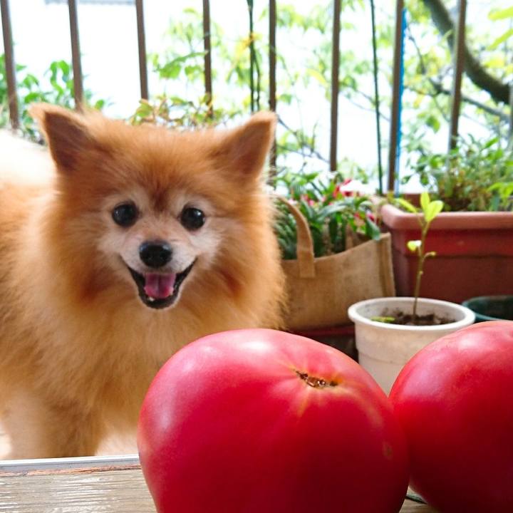 8929dca1 0060 4789 bffd 4147cb81e8b0 1532299924859