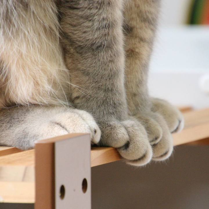 8929e85b fa75 4316 9126 91d09545e5bf 1517533570385