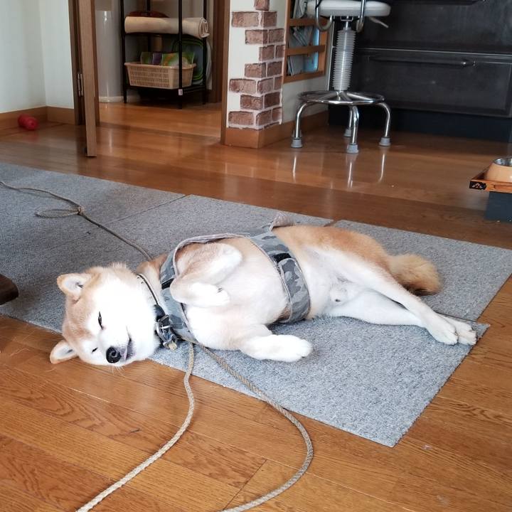 8929ebd3 1859 451e bd09 f436dae149fe 1614989950093