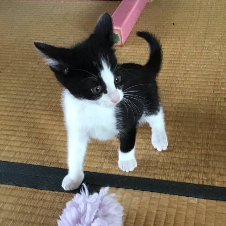 8929f6e8 a709 462b a65f 94e10f1e226a 1624583720552