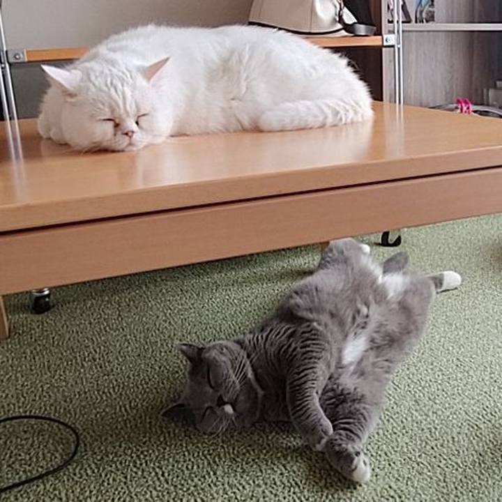 892a0e52 6bef 42cf a206 d47117649c7f 1651716790607