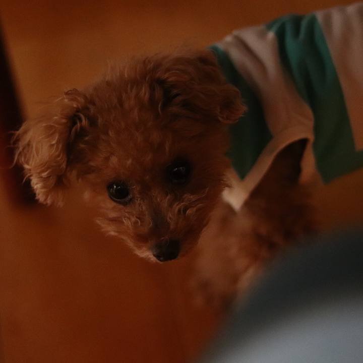 892a64e2 c8ca 4b04 b096 24d86d2c7695 1596803570748