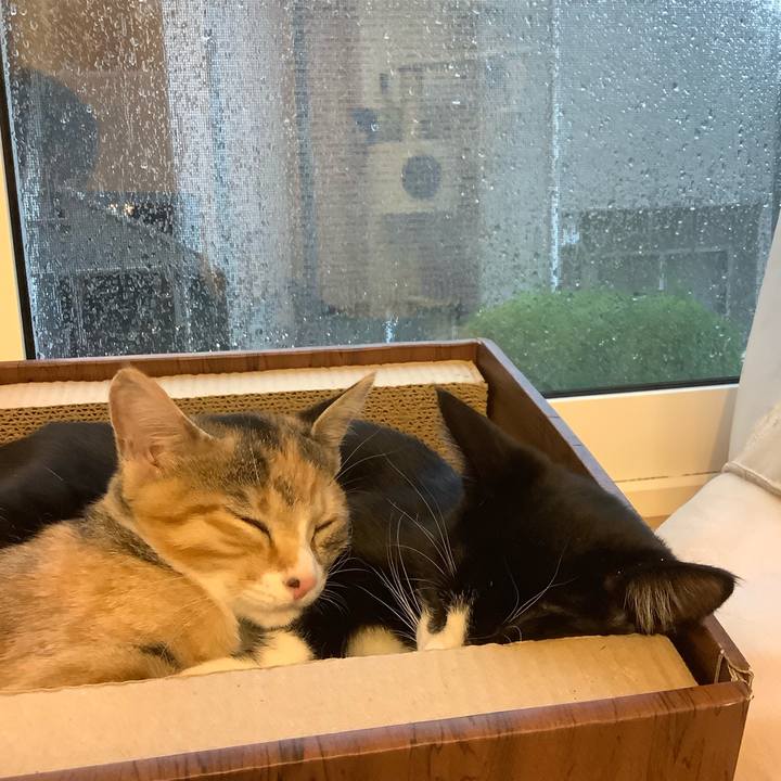 892aaadc cde4 4f64 aaec 9f54a9c8ebaf 1570863182084