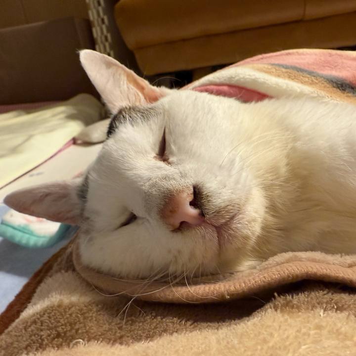 892b1910 f269 4736 8b1f aefc18ba4334 1761657153020